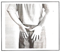 Glândulas Sexuais ou Gônadas - Exercício 3